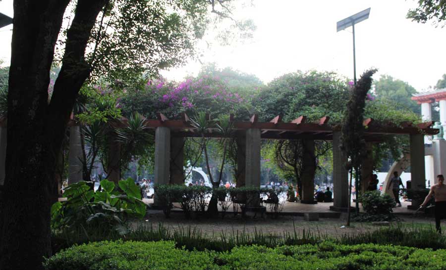 View from the Parque Mexico in the afternoon