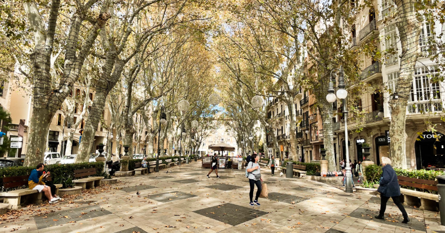 Large pathway surrounded with lined trees and shops