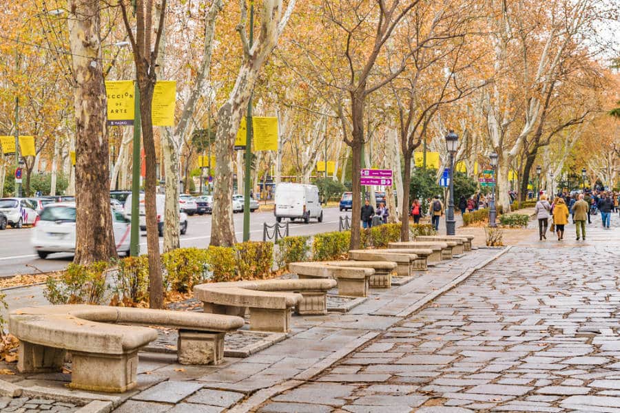 View of people walking on cobblestone street at the Paseo del Prado sidewalk during autumn