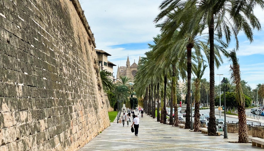 People walking along Passeig de Sagrera surrounded by palm trees and magnificent views of La Seu Cathedral