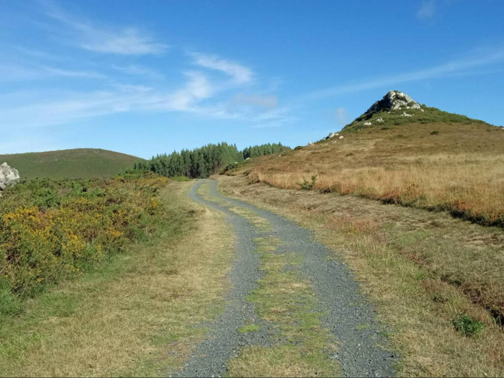 View of the dirt Path at Camino Francés
