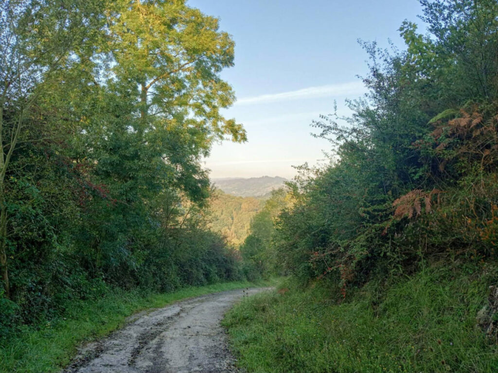 View of the Dirt Path at Camino Primitivo