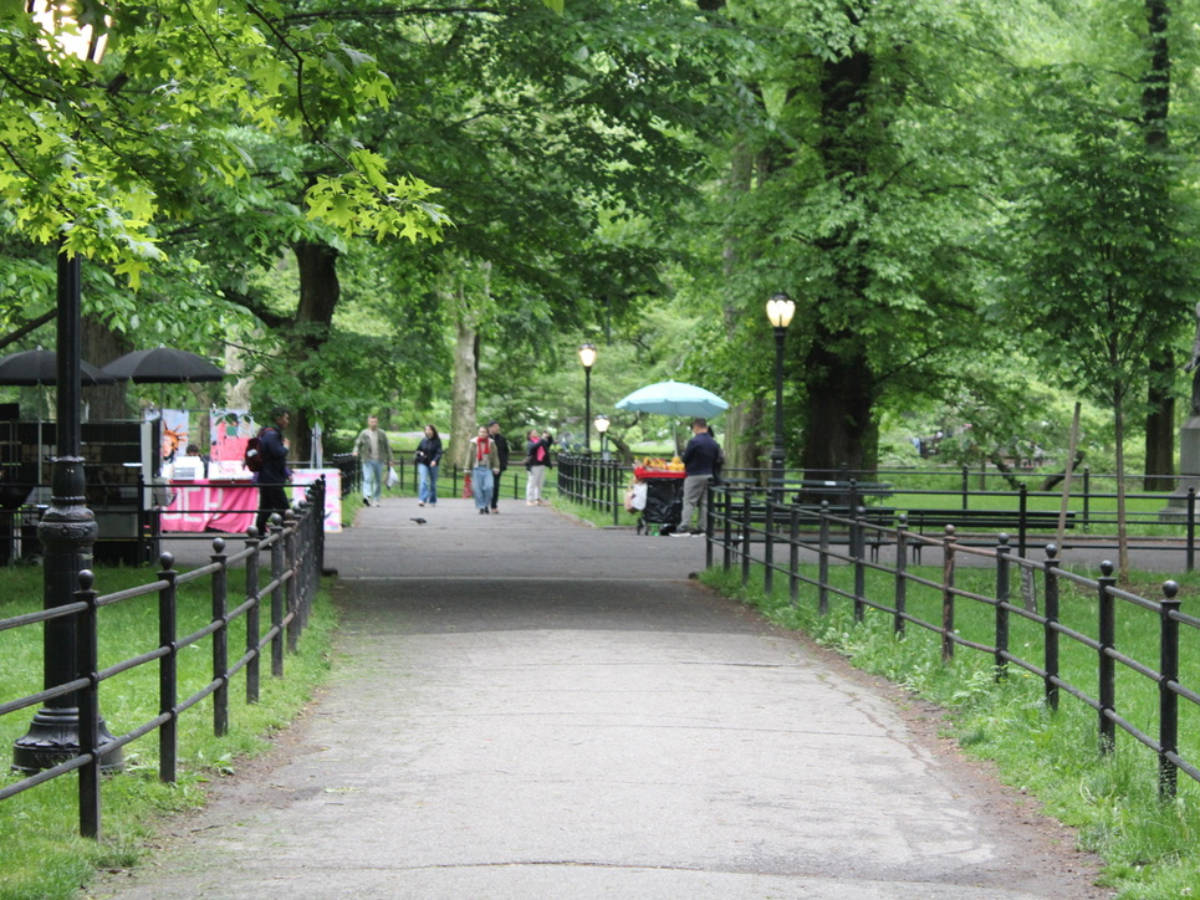 The people wandering around the paths in Central Park