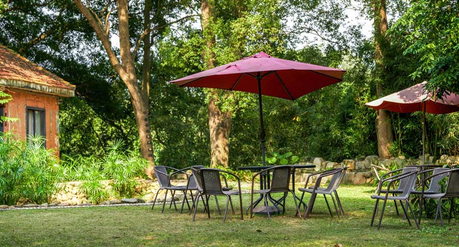 Tables and chairs at the backyard