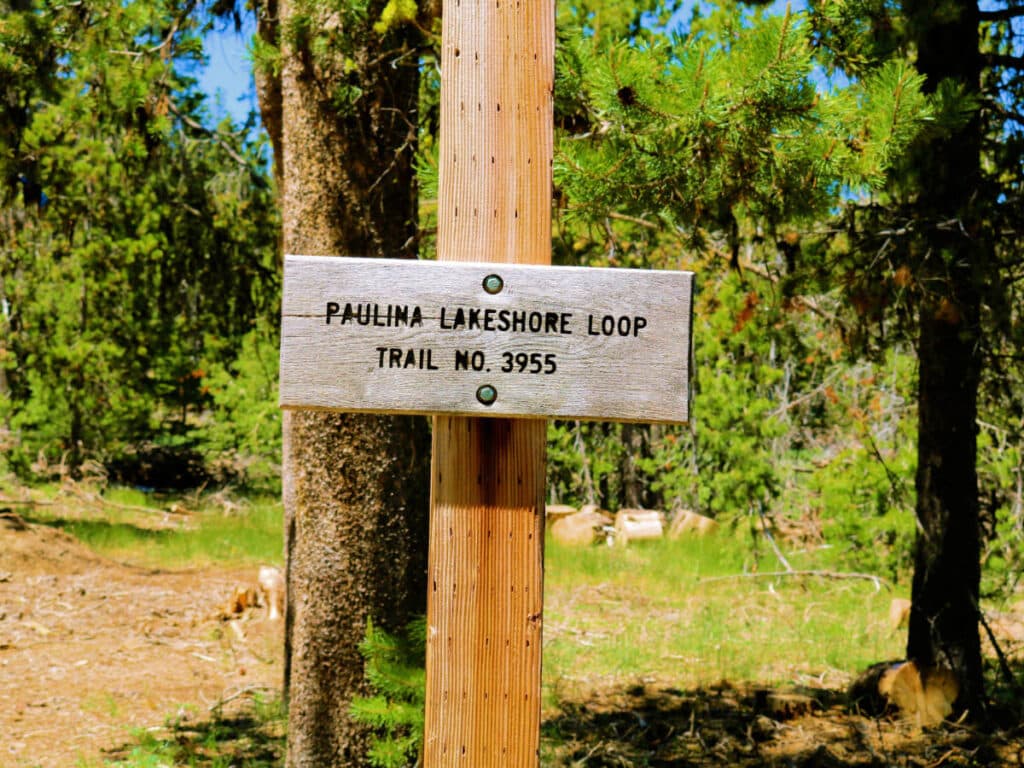 A Paulina Lakeshore Loop signage at the trail