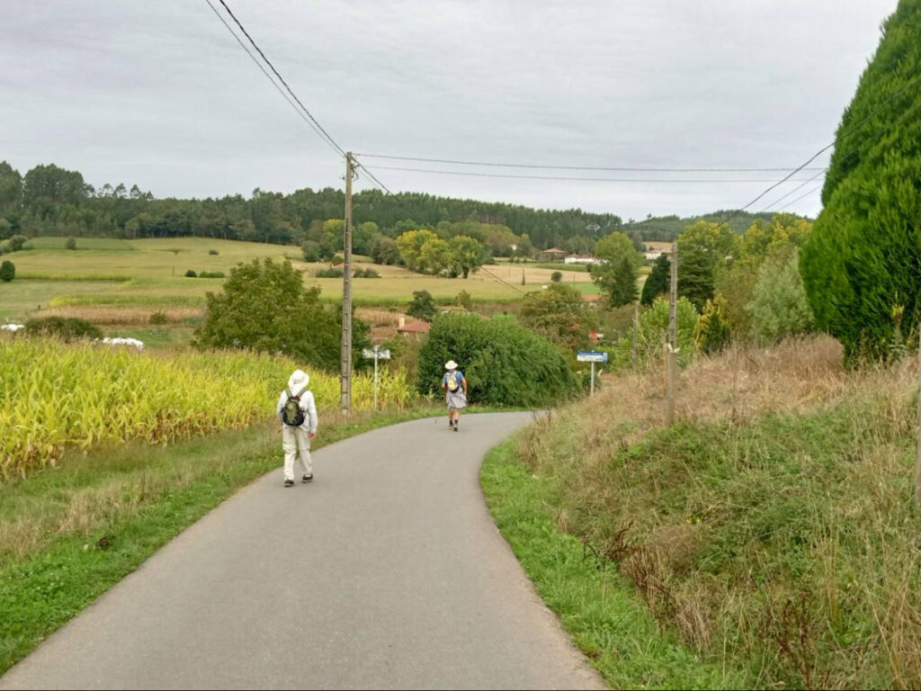 Pilgrims walking along a Paved path at the Francés