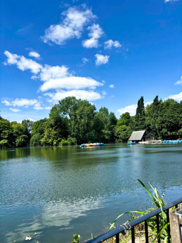 Scenic view of the pond and nature from Pear Tree Cafe