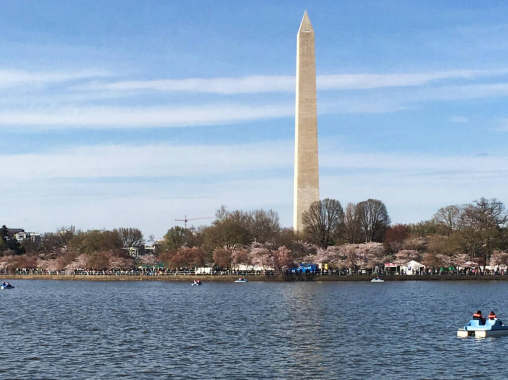 View of a pedal boat on the Tidal Basin