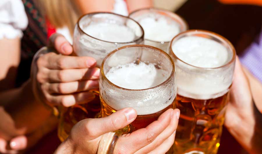 A group of friends toasting with their glass of beer in Pedal Haus