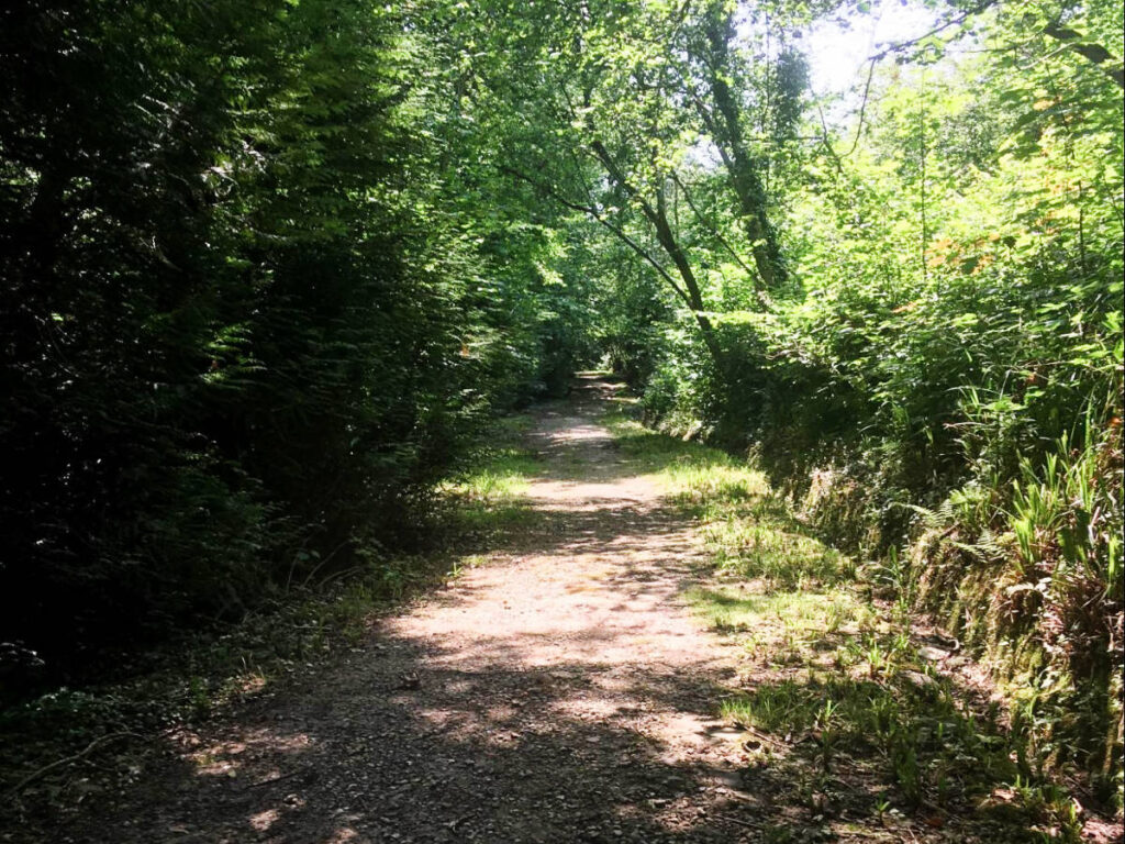 A narrow road in Normandy