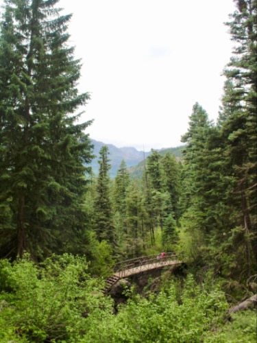A family crossing the bridge which is surrounded by greenery in Treasure Falls