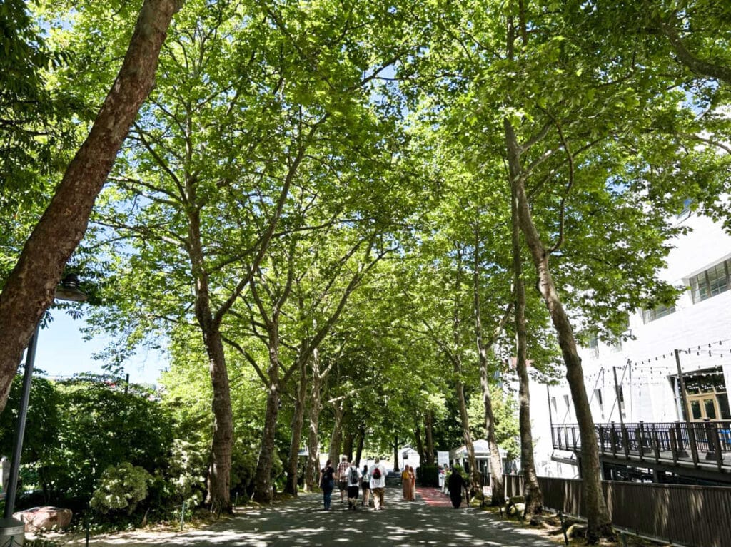 View of the people walking under the shade in Seattle Center