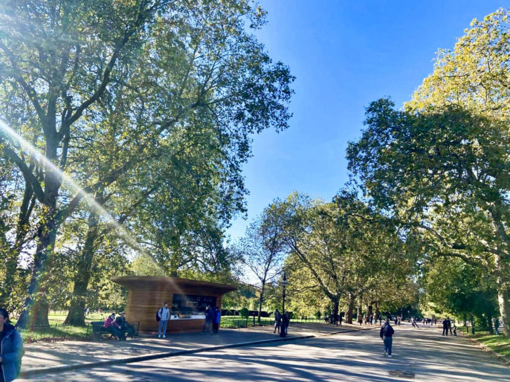 View of the people wandering and resting under the shade of lined trees at Hyde Park