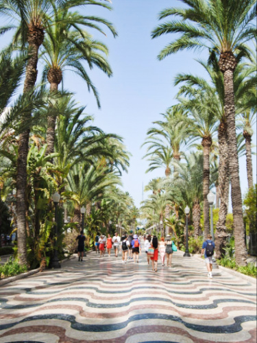People walking along a colorful pathway surrounded by palm trees