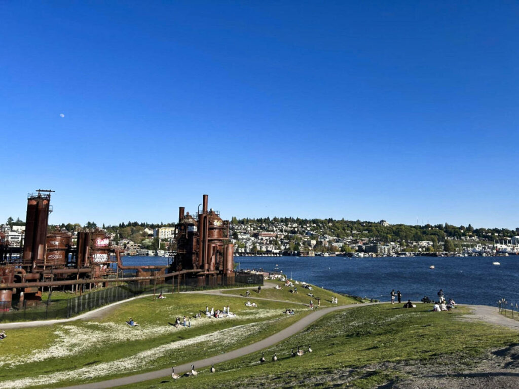 The people chilling with the ducks at the Gas Works Park against a clear blue sky