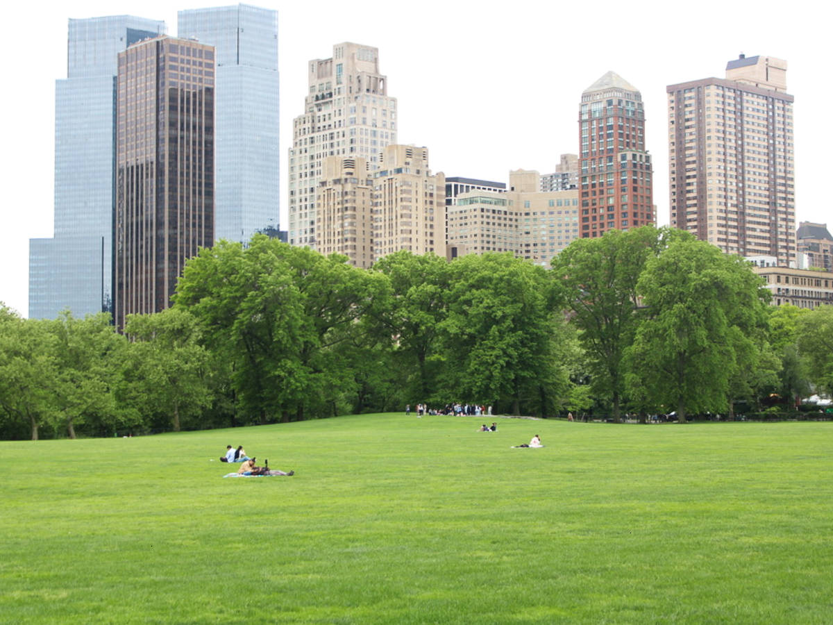 People lounging around the Sheep Meadow with the skyline views in the background