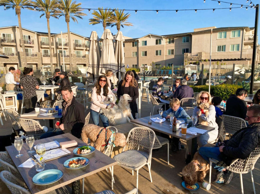 A group of people with their dogs at the Chandler’s Oceanfront Dining