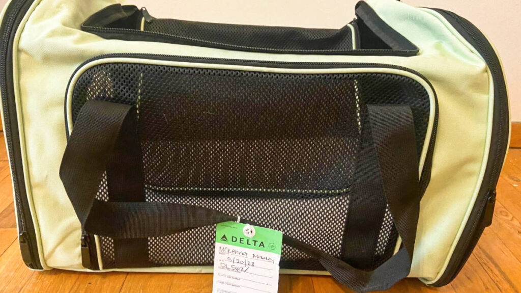 A dog tag attached to the carrier's handle