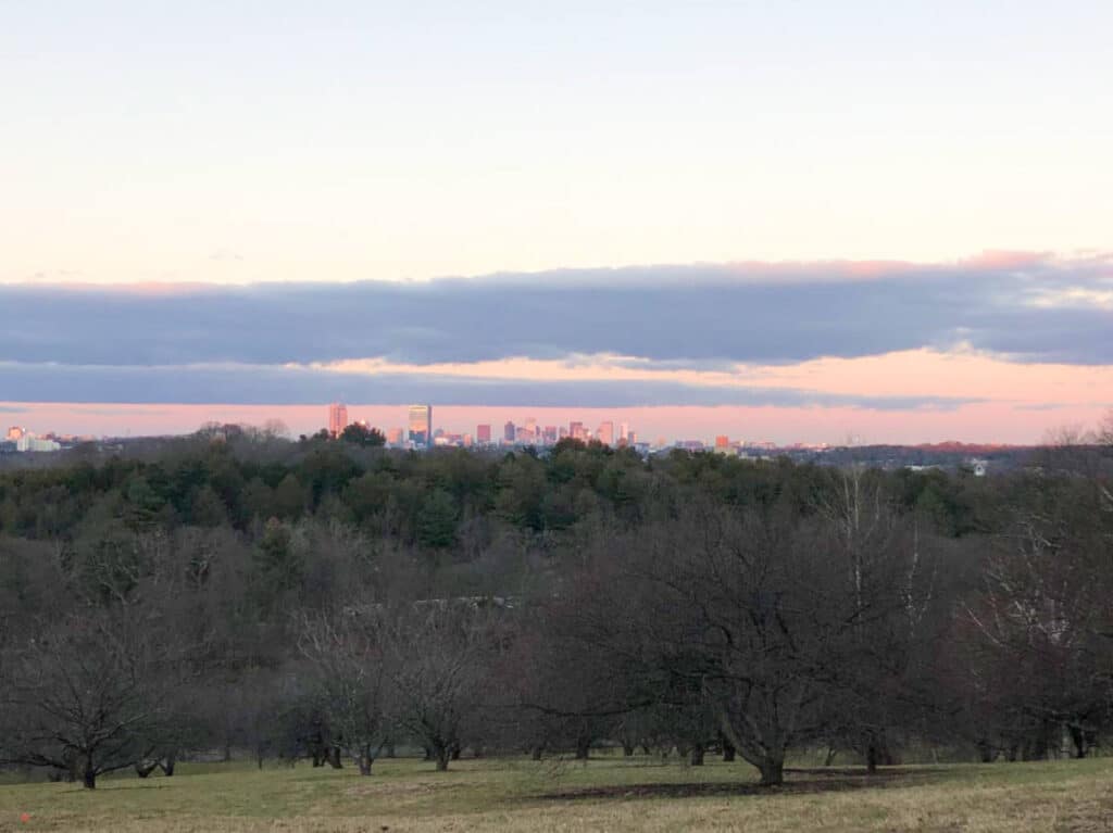 View of the beautiful sunset over the city skyline seen from Peter Hills