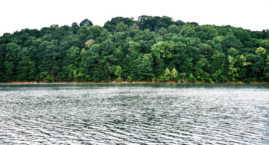 View of the calm Petoka Lake and lush green Hoosier National Forest from a distance