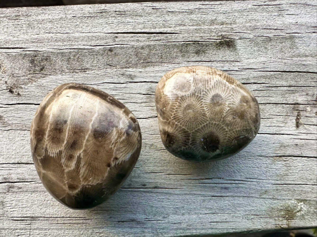 Closeup look of the Petoskey stones