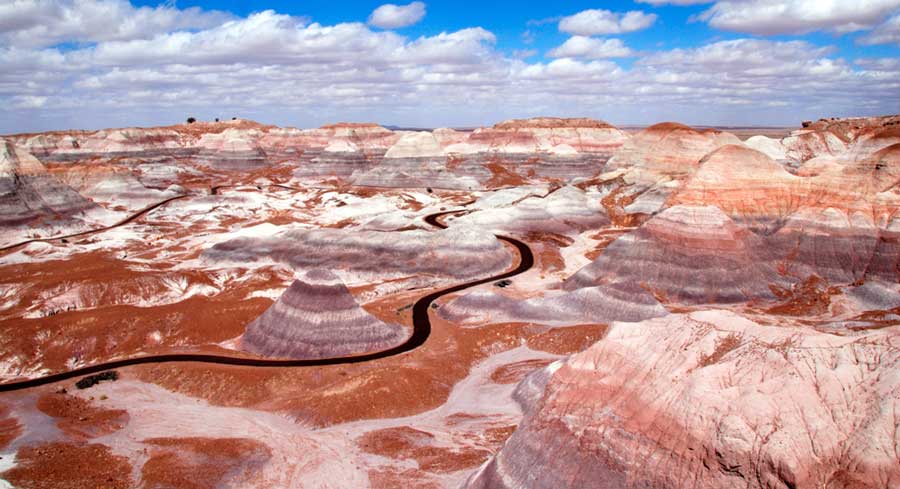 The Petrified Forest National Park under the clear blue sky
