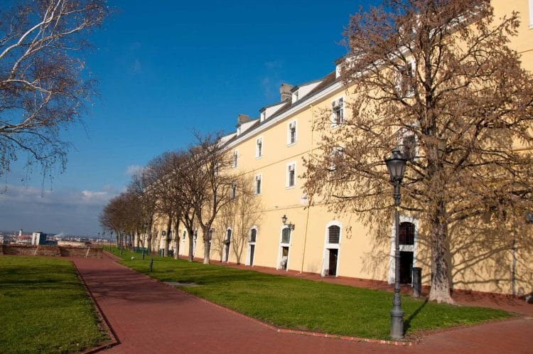 Street of old town with trees and yellow building