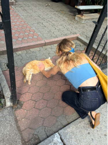 A woman petting a cat