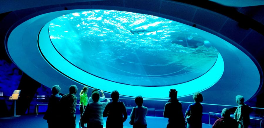 View of people watching the aquarium in Frost Science Center