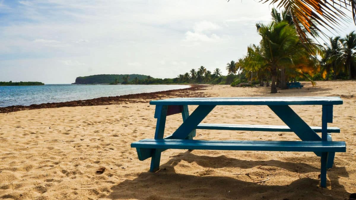 A bule picnic table on the shoreline at Seven Seas Beach