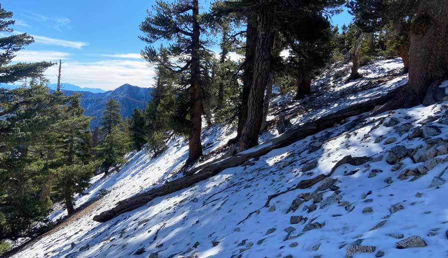 The Pine Knot Trail covered with snow during winter season