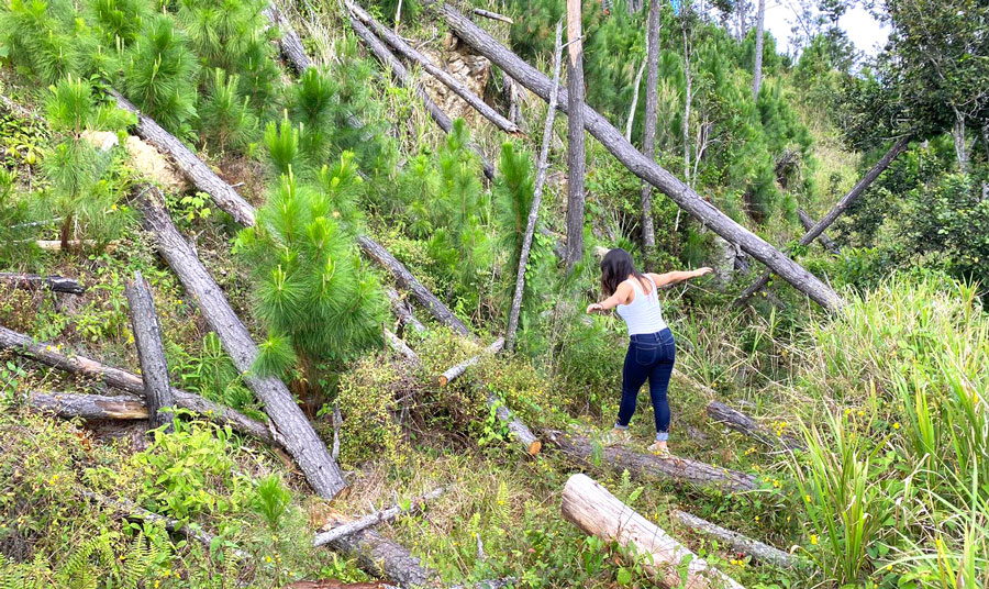 The author Vanessa Ramos balancing her self on a pine tree