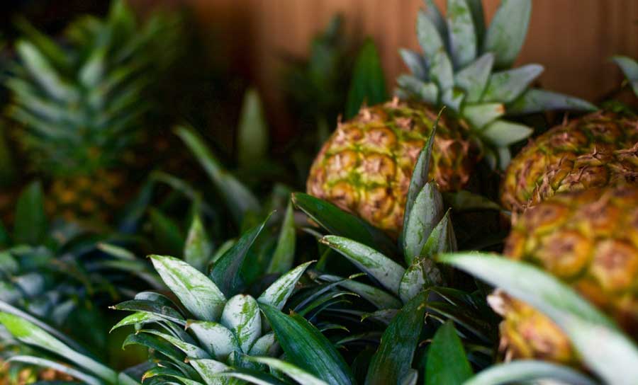 Pineapples displayed on a market