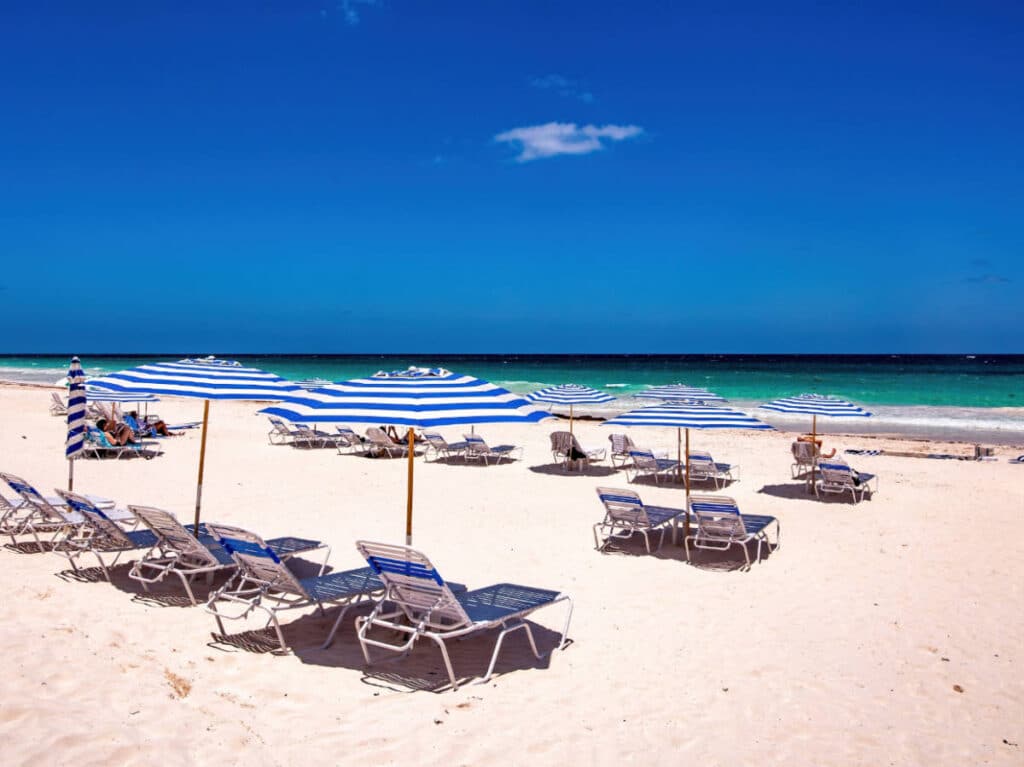 Beach chairs with umbrella at the Pink Sands Beach