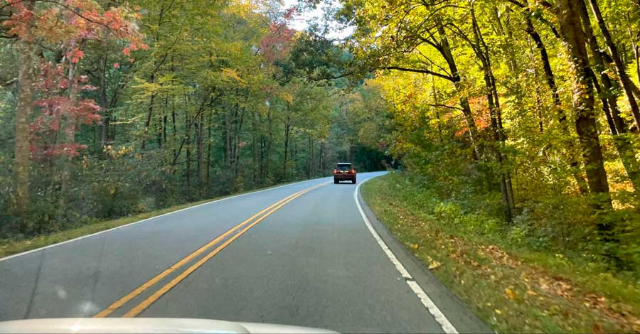 View while driving at the Pisgah National Forest