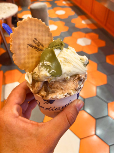 A hand holding a cup of pistachio gelato with ganache