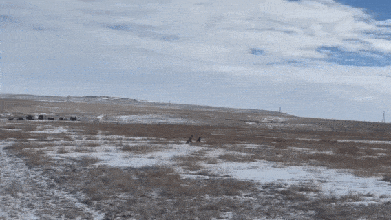Panoramic view of the landscape of The Plains Conservation Center during winter