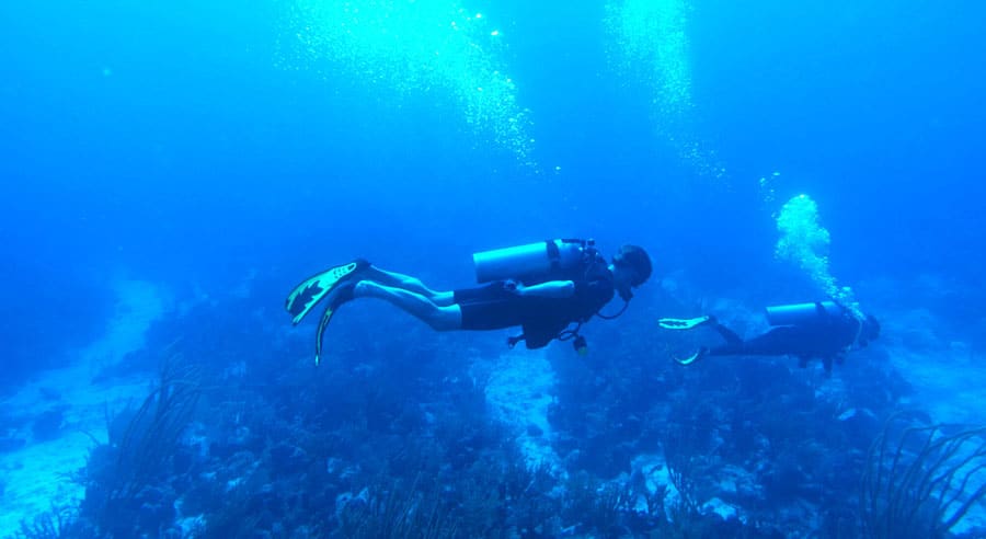 View of two scuba divers in Playa India El Natural