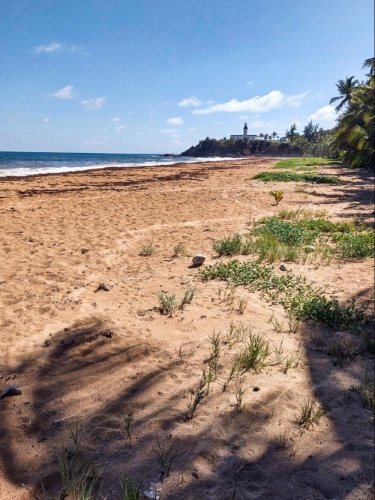 View of the Playa Larga in Punta Tuna Wetlands on a sunny day