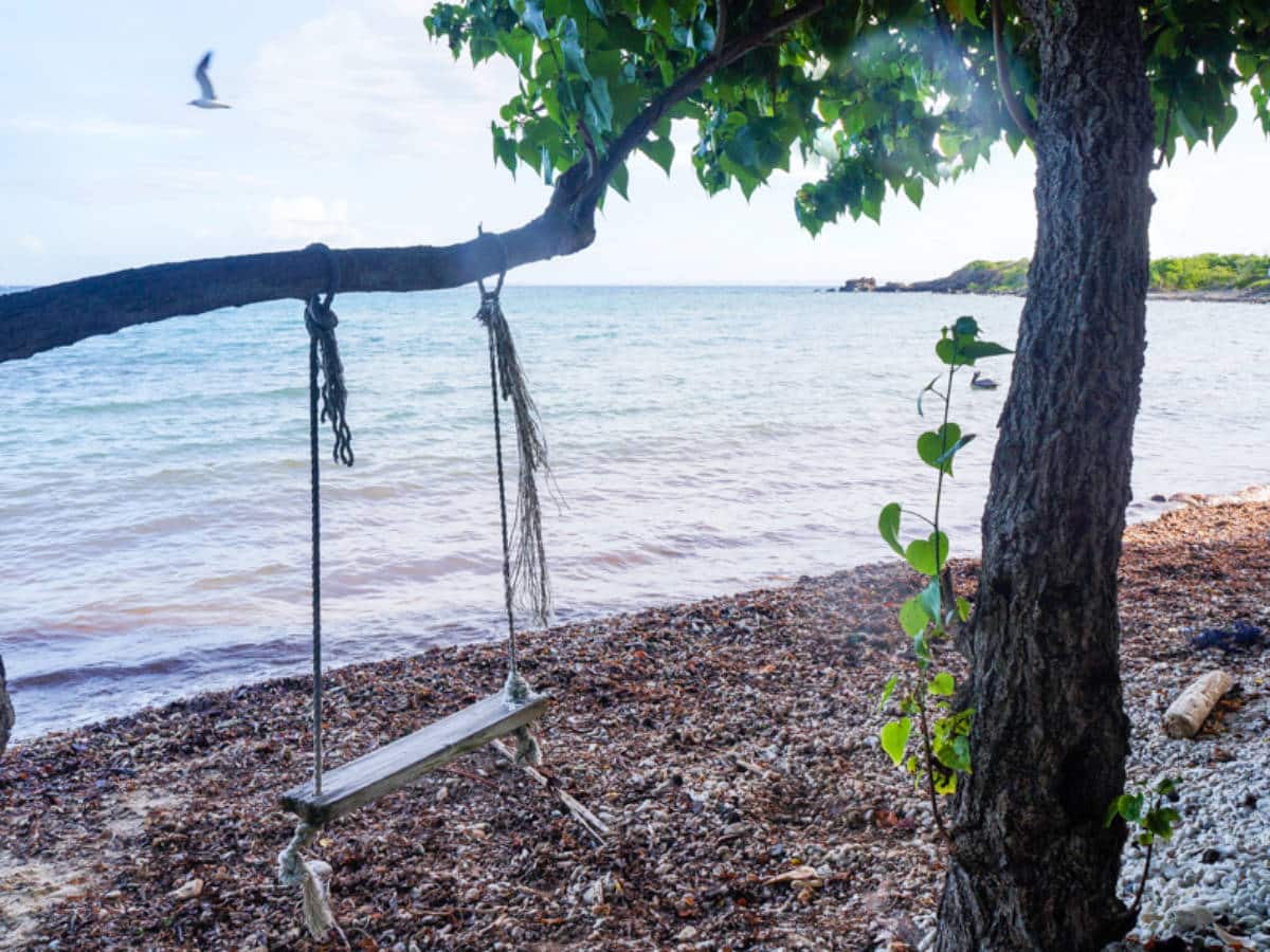 View of a swing at the Playa Sardinas