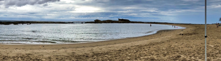 Panoramic view of the sand and calm beach of Playa Sardinera