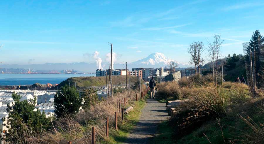 View of the Point Defiance ferry terminal and the Mount Rainier from afar