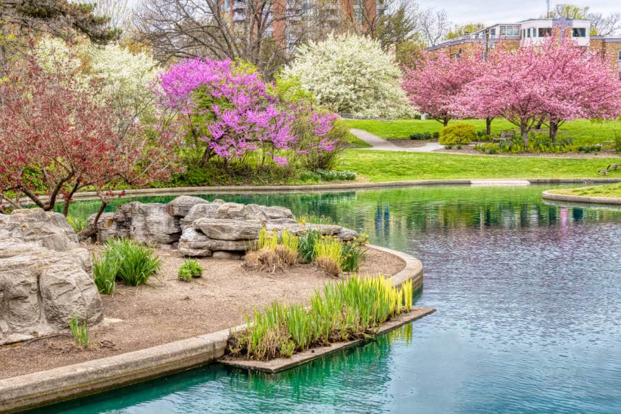 View of the beautiful spring trees and pond at Eden Park