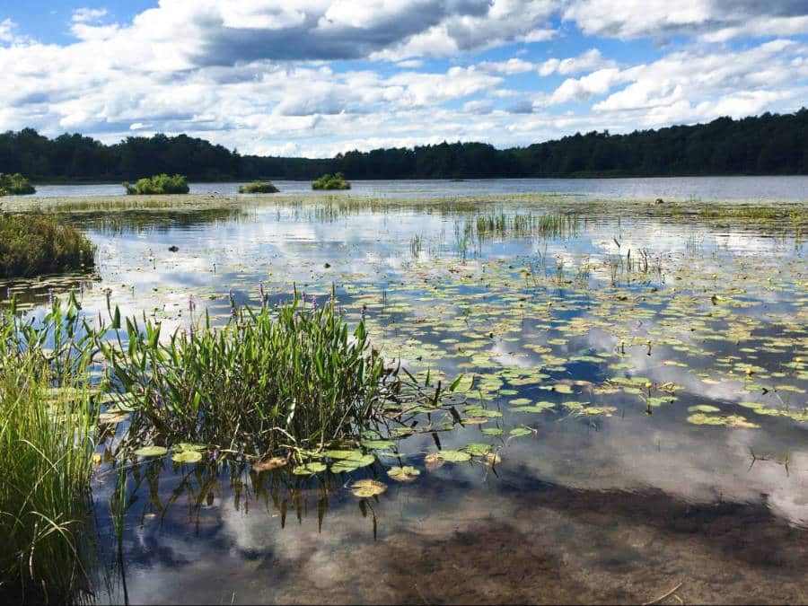 View of the pond with mountains views at Ricketts Glen State Park