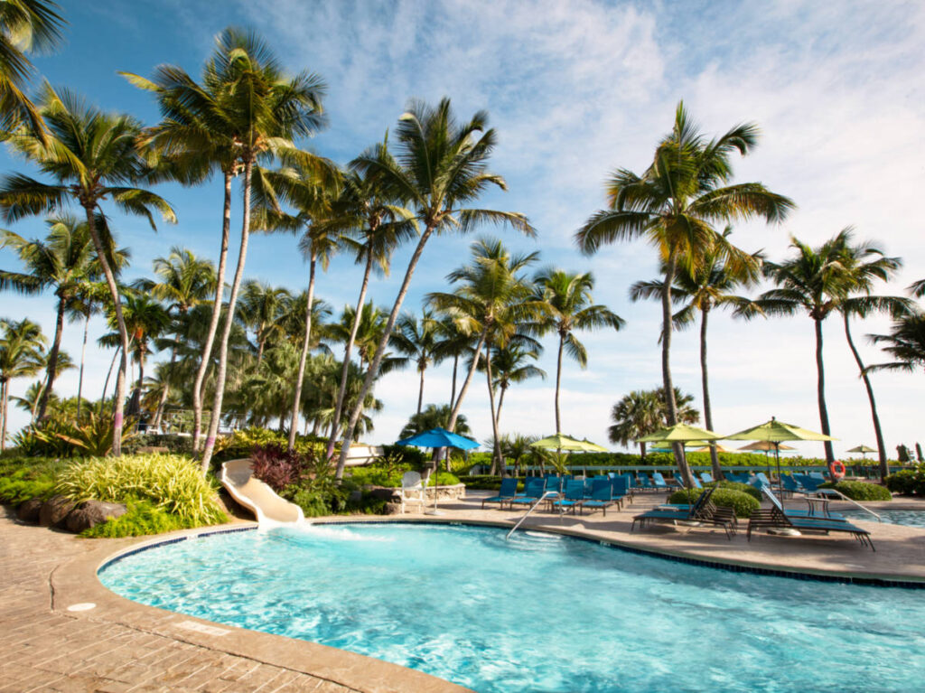 View of the pool area surrounded by greenery in Wyndham Grand Rio Mar Puerto Rico