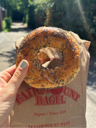 Holding a Poppy seed bagel from Fairmount