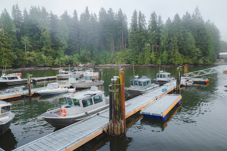Boats, trees, and docks are spotted in Port Renfrew, Vancouver Island