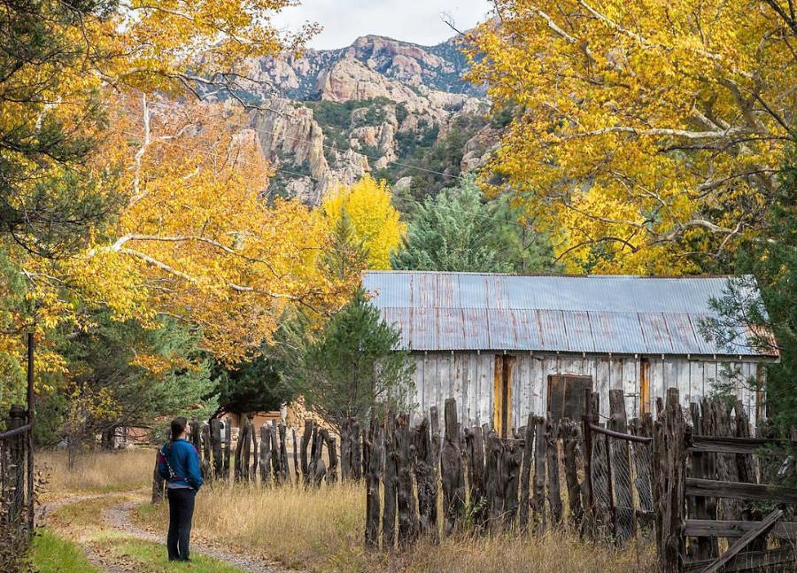 The author during a hike in Portal at fall season