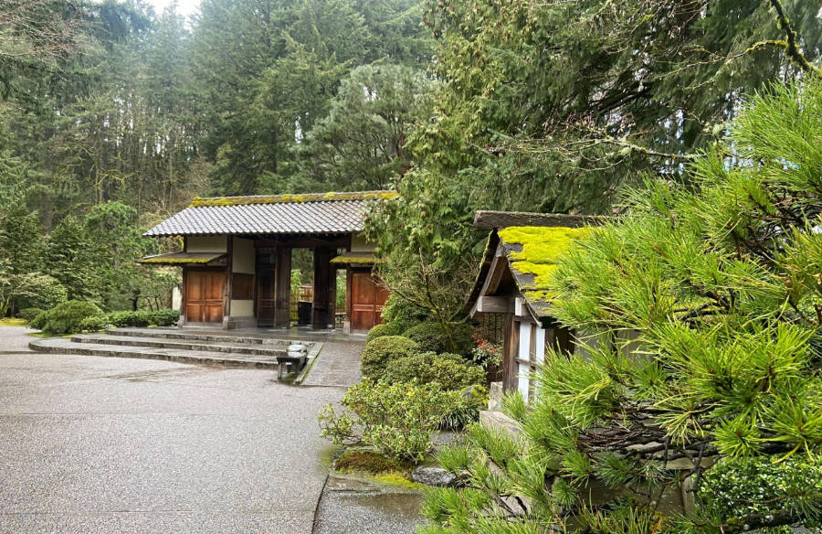 View at the Portland Japanese Garden