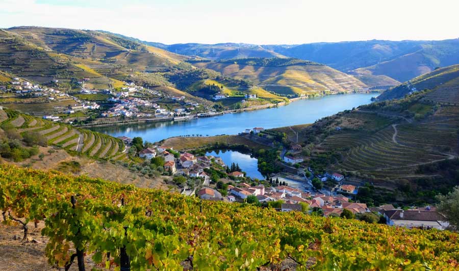 Scenic view from the Douro Valley under the clear blue sky